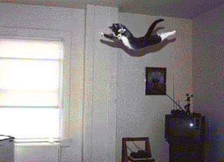 2414713.gif
